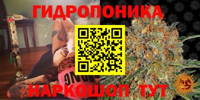 Альфа ПВП Янаул
