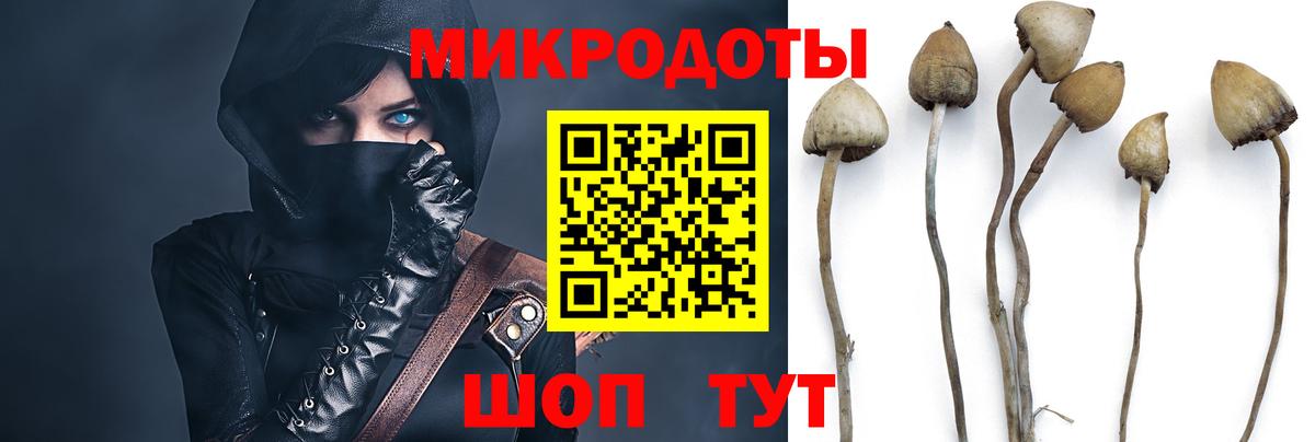 Псилоцибиновые грибы Magic Shrooms  Псилоцибиновые грибы мухоморы  Вход с VPN  как найти   Лянтор 